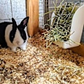Pikkukuva 4 / 5: Grass Frame Er M Teline Nlla Kiinteä Käännettävä H Grass B