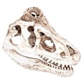 Miniatyrbillede 5 af 5: Kranieindretning, Resin Dinosaurie Kranie Ornament Kranie Statue Resin Kranie Model Banebrydende Funktioner