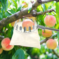 Miniatyrbilde 5 av 5: Fruktplukker, Fruktsikkerhetsnett, Fruktnett, Ferskenpæreepleplukker 16cm Frukthøstepose Høstehjelper Frukthøstekurv