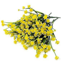 Miniatyrbillede 4 af 5: Kunstige falske blomster, 4 bundter udendørs UV-resistente grønne buske planter