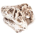 Miniatyrbillede 2 af 5: Kranieindretning, Resin Dinosaurie Kranie Ornament Kranie Statue Resin Kranie Model Banebrydende Funktioner
