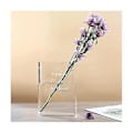 Miniatyrbillede 3 af 5: Vase Akryl Vase Ins Blomst Hjem Rotte Hydroponisk Skrivebord Ornt , T
