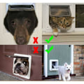 Miniatyrbillede 3 af 5: Kattelem til katte, kattelem til katte, hunde eller små dyr, kontrollerbar, låsbar, nem at installere (Xl, hvid) HIASDFLS