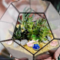 Miniatyrbillede 4 af 5: 36 stk. Resin Havdyr Figurer Ornamenter Miniature Havdyr Mini Resin Figurer Akvarium Ornamenter