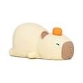 Miniatyrbillede 5 af 5: Magiske Capybaras Natlampe Dæmpbar Natlys til Værelse, Fødselsdag