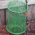 Miniatyrbilde 5 av 5: Ranch Fly Guard, Fluefelle, , Felle for Gård/Frukthage