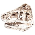 Miniatyrbillede 1 af 5: Kranieindretning, Resin Dinosaurie Kranie Ornament Kranie Statue Resin Kranie Model Banebrydende Funktioner