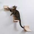 Miniatyrbild 2 av 3: 1 st kattvägg stativ DIY kattvägg katt stege