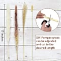 Miniatyrbilde 3 av 5: 85 stk. Tørket Pampasgress R Pompass Gress Grener Tørket Bukett Boho Hjem R