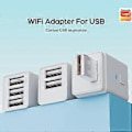 Miniatyrbillede 2 af 5: Tuya Zigbee Micro-USB Adapter Switch 2 Gang Mini USB Strømadapter APP Stemmestyring til Alexa