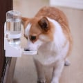 Miniatyrbild 2 av 5: 500ML Automatisk Vattenfontän för Husdjur, Hängande Vattendispenser Vattendispenser Liten Husdjursvattenflaska för Katter, Hamster, Kaniner - Vit - 500m