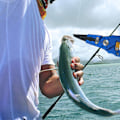 Miniatyrbild 3 av 5: 1 st Fiske Tång Verktyg, Fiske Verktyg Set, Bärbar Fiske Tång & Fisk Gripare Set Läpp Gripare Gripkrok
