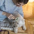 Miniatyrbillede 4 af 5: Underpelsrive Dematting Kattekamme til Pleje af Langhårede Katte Dobbeltsidet Underpelsrive Kæledyrs Dematting Rive A