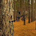 Pikkukuva 5 / 5: Puutarhataide Ulkona Puutarha Piha Oksa Metalli Eläin Koriste Simulaatio Eläin Lintu Puutarha Koriste