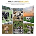 Pikkukuva 5 / 5: Ranch Fence Volta Er 1000v Sähköaita Volta Er, piha-aitaus Er