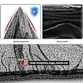 Miniatyrbild 3 av 5: 2x Universal Bil Solskydd Mesh Bakruta UV-skydd Solskydd