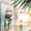 Miniatyrbillede 2 af 5: 6 stk. Nordisk stil hængende Tillandsia luftplanteholder vægophæng geometrisk metal Tillandsia luftplante