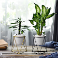Miniatyrbild 4 av 5: Inomhuskrukor 6 tum Modern trädgård Keramisk rund skål med metall Luftväxt hållare för kaktus Suckulent planter (Vit+Svart)