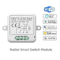 Pikkukuva 5 / 5: Matter WiFi Älykäs Kytkin 10A Älykäs Kodin Automaatio Relemoduuli Tuya Smart Life Toimii Alexa Home:n kanssa