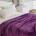 Miniatyrbillede 5 af 5: Fleece tæppe til sofaer og senge 50X60 tommer hyggeligt fleece flanel tæppe mikrofiber tæppe, F
