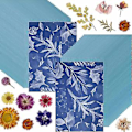 Miniatyrbilde 2 av 5: 50 Ark Sunprint Kit S Høy Sensitivitet Diy (a4/8.27 X