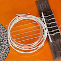 Miniatyrbillede 4 af 5: 6 stk. guitarstrenge professionelt musikinstrument nylon guitarstrengsæt