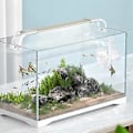 Miniatyrbillede 4 af 5: Rium Tank Co2 Diffuser Dioxid Reaktor Med Keramisk Skive + 2 Sugekopper