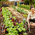 Miniatyrbillede 5 af 5: Sæt med 18 bøjler til hævet tunnel drivhus, der udgør en glasfiberstel til dine planter i haven-Fei Yu
