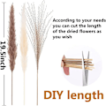 Miniatyrbillede 2 af 5: 66 stk. tørret pampasgræs med 3 farver fluffy svingende DIY boho plante dekorativ blomsterbuket