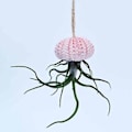 Miniatyrbillede 4 af 5: 3 stk. Små ornamenter af muslingeskaller og søpindsvinskal (ekskl. planter)