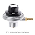 Miniatyrbilde 4 av 5: 1 punds tank lavtrykks justerbar gassregulator