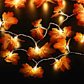 Miniatyrbild 2 av 5: Led-ljusslinga 20 LED-ekorrlampor ljusslinga batteridriven 6,5 fot ljusslinga med fjärrkontroll för Thanksgiving höst sovrum jul Hallo