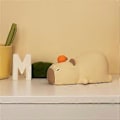Miniatyrbillede 4 af 5: Magiske Capybaras Natlampe Dæmpbar Natlys til Værelse, Fødselsdag