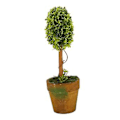 Pikkukuva 3 / 5: En Grass Ball Topiary Tree Pot Kuivattu Kasvi Häihin R(-sd)