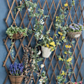 Miniatyrbilde 3 av 4: Set med 2 utvidbare espalier i tre for klatreplanter - Veggdekorasjon for terrasse og hage