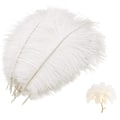 Miniatyrbillede 2 af 5: Mwoot 10 stk. naturlige strudsefjer, strudsefjer til bryllup, fest, borddekoration (hvid, 25-30 cm)