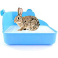 Miniatyrbillede 1 af 4: Kanin Toilet Bakke Toilet Hus Til Kanin Hamster Rotte Gerbil Mus Marsvin Grøn