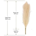 Miniatyrbillede 4 af 5: Pampasgræs 12 stk. 45 cm, Kunstig Pampasgræs Pampas R, Kunstig Pampasgræs Sho