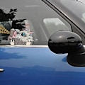 Pikkukuva 4 / 5: 4 kpl Anime-autotarroja Japanilainen anime-autotarra tuulilasiin Ikkunatarrat Vedenpitävät autotarvikkeet