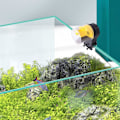 Miniatyrbild 2 av 5: Automatisk fiskmatare med fuktsäker design, programmerbar matning för akvariefiskmatare, gul, batteridriven för små till stora