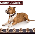 Miniatyrbild 3 av 5: Elegant Hundhalsband, Äkta Läder för Små Raser, Guldfärgad Legering &amp; Robust Kopplingsring, Justerbart, Komfort &amp; Hållbarhet för Din
