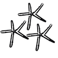 Miniatyrbild 2 av 8: Universell rundformad ersättningsfixering justerbar 5-punkts högstolssele svart