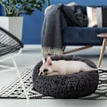 Miniatyrbild 3 av 5: Donut Cuddler, Ångestdämpande Mjuk Rund Bädd Med Fluffig Fuskpäls För Innekatter Och Små Hundar, Maskintvättbar Djurbädd I Mörkgrått (50Cm)