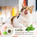 Miniatyrbild 5 av 5: 3-pack kattmynta leksaker för katt, kattmynta leksak för rengöring av tänder,