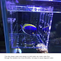 Miniatyrbild 1 av 7: Akryl magnetisk akvarium fisk avel isoleringsbox för baby fisk kläckeri inkubator bur