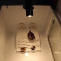 Miniatyrbild 6 av 7: Reptilklämma Värmelampa Armaturhållare, Lämplig för Akvarium, Reptiler, Brooder Coop, Husdjur, Växter, Ödla, Sköldpadda, Kameleont, Spindel, Orm,