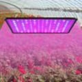 Miniatyrbild 7 av 8: 30W 256 LED växtlampa Full Spectrum växtljus inomhus växtlampa tillväxtlampa