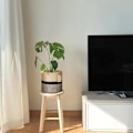Miniatyrbild 3 av 5: Blomkruka Planterkorg Bomull Rep Korg Förvaring Korg Flätad För Leksaker Filtar I Barnrum 21x21cm, Svart & Jute