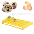 Miniatyrbild 7 av 8: Äggkläckningsmaskin Äggbricka Liten 24 Ägg Fyra Blad Blomma Automatisk Vändning Äggkläckningsmaskin Äggbricka 12V