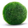 Miniatyrbild 2 av 8: Medelstora mossbollar, akvariedekor, arvegåva, älskad av akvariehusdjur, 10 bollar